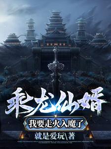 乘龙仙婿，我要走火入魔了