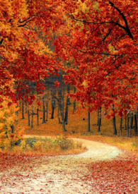 两世人（1v2重生换夫男处）