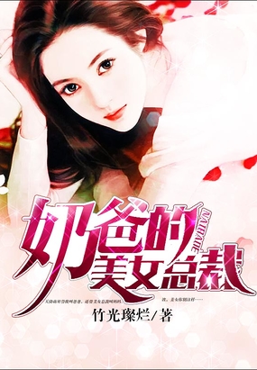 奶爸的美女总裁