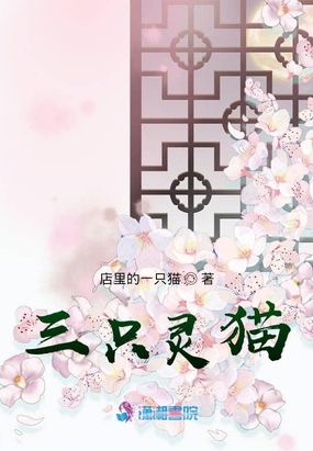 三只灵猫