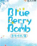 蓝莓炸弹